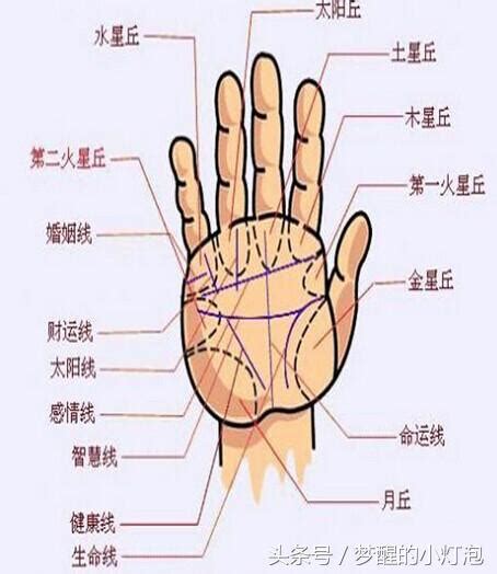 手相雜亂|「手相秘密」掌紋雜亂？代表了什麼樣的運勢？